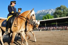 fohlenhof ebbs schauprogramm dressur