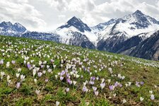 laeng landschaft