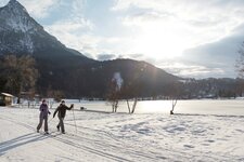 langlaufen thiersee pendling im hintergrund