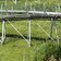 sommerrodelbahn bild