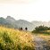 Wandern