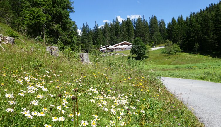 thoerleweg von ehrwald zur hochtoerlehuette