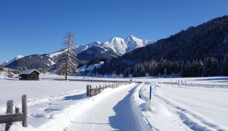 winterweg seefeld moesern