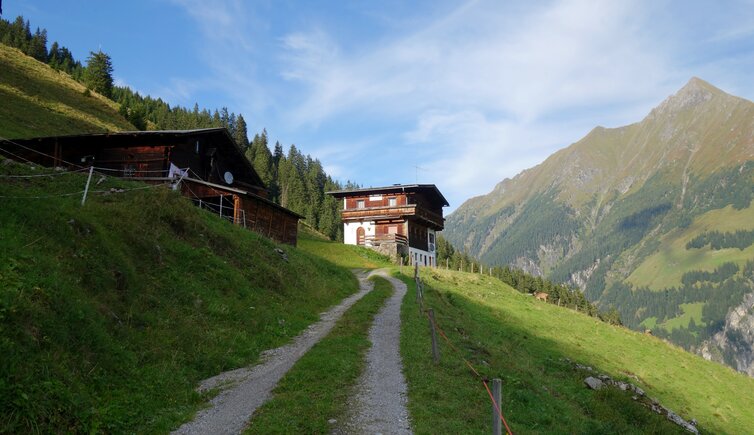 ginzling oberboeden alm und aussicht zillertaler alpen fr