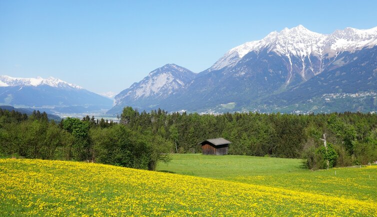 aldrans prockenhofweg herztal wiesen fruehling