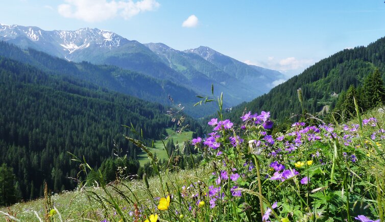 navistal von peeralm aus gesehen