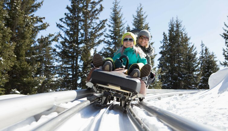 SFL Familien Coaster Schneisenfeger