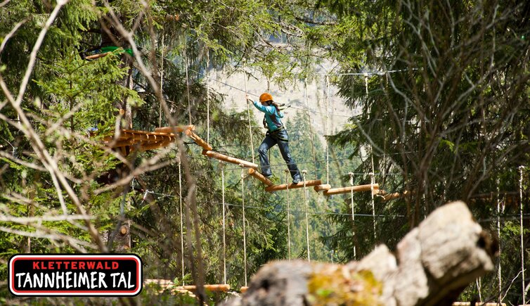 Wald mit Logo